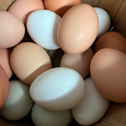 1 Dozen Eggs ***NOT ELIGIBLE FOR SHIPPING***